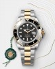 Rolex Sea-Dweller Oyster, 43 mm, Oystersteel and yellow gold
